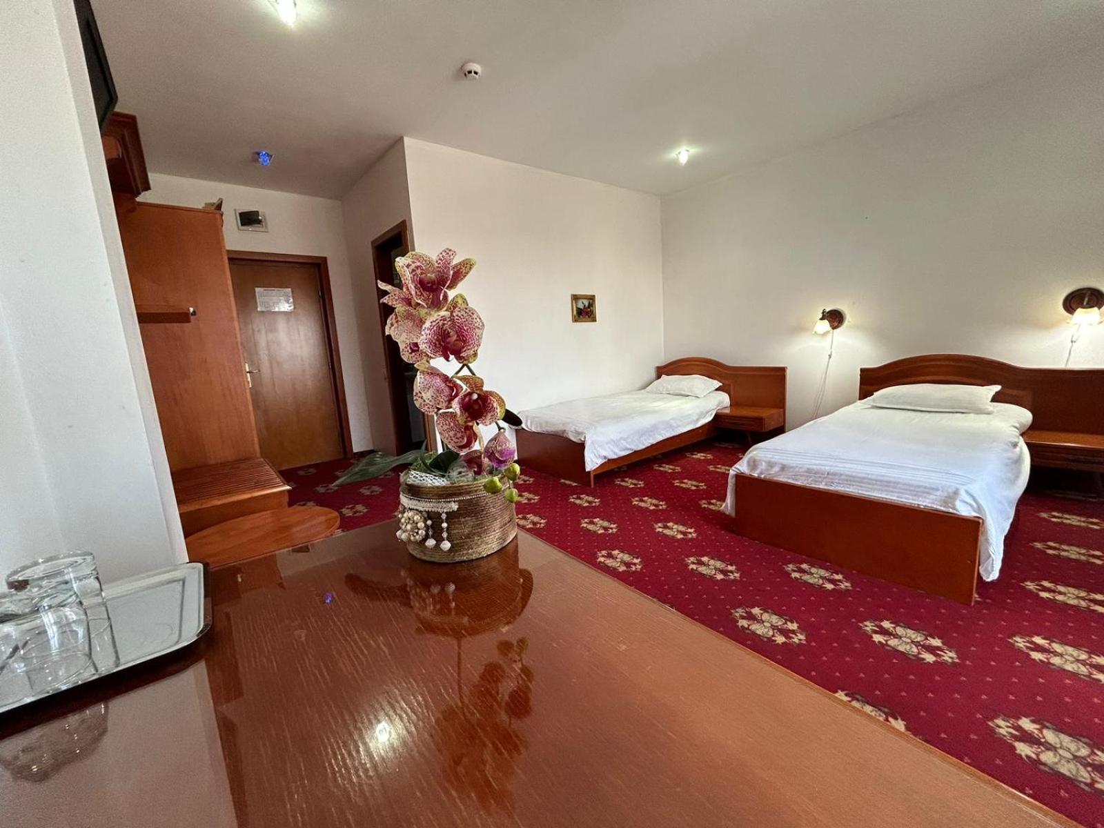 Hotel Coral Satu Mare Exterior foto
